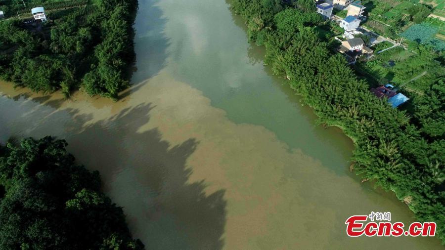 An aerial view of muddy water mixing with clean after strong rainfall in Rong’an County, South China’s Guangxi Zhuang Autonomous Region, July 10, 2018. (Photo: China News Service/Tan Kaixing)