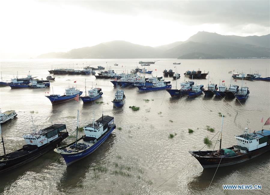 Aerial photo taken on July 10, 2018 shows fishing boats berthing at a harbor in Xiaguan Town of Cangnan County, east China\'s Zhejiang Province, as Typhoon Maria, the eighth typhoon this year, approaches the Chinese coast. (Xinhua/Weng Xinyang)