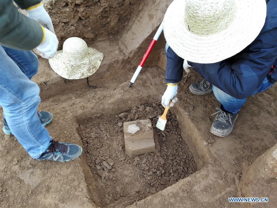 Undated file photo shows archaeologists exploring at an archaeological site where paleplithic tools from the oldest layer of soil were discovered at Shangchen Village of Lantian County, northwest China\'s Shaanxi Province. Ancient tools discovered in Lantian County, northwest China\'s Shaanxi Province by a research team consisting of Chinese and British archaeologists suggest that there may have been a hominin presence outside Africa earlier than previously thought, according to a study published Wednesday in Nature. In eleven different layers of fossil soils, 80 stone artefacts were found, among which the oldest can be dated to 2.12 million years ago, which are 270,000 years older than the 1.85-million-year-old skeletal remains and stone tools from Dmanisi, Georgia, which were previously the earliest evidence of humanity outside Africa. (Xinhua)