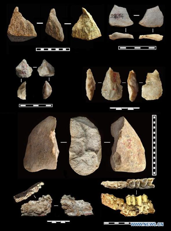 Graphics shows the excavated paleplithic tools and animal fossils from the oldest layer of soil from 2.1 to 2.12 million years ago. Ancient tools discovered in Lantian County, northwest China\'s Shaanxi Province by a research team consisting of Chinese and British archaeologists suggest that there may have been a hominin presence outside Africa earlier than previously thought, according to a study published Wednesday in Nature. In eleven different layers of fossil soils, 80 stone artefacts were found, among which the oldest can be dated to 2.12 million years ago, which are 270,000 years older than the 1.85-million-year-old skeletal remains and stone tools from Dmanisi, Georgia, which were previously the earliest evidence of humanity outside Africa. (Xinhua)