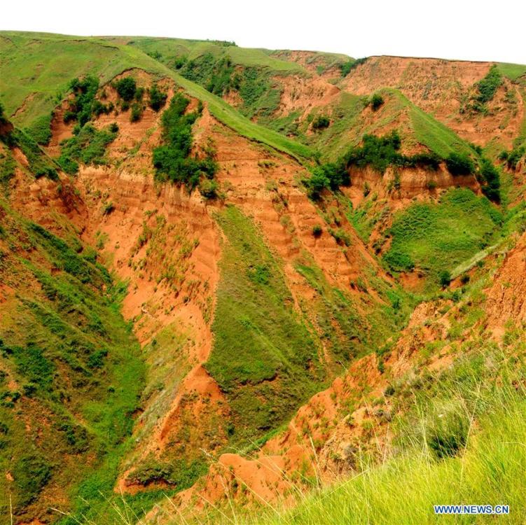 Undated file photo shows the ancient soil horizons at Shangchen Village of Lantian County, northwest China\'s Shaanxi Province. Ancient tools discovered in Lantian County by a research team consisting of Chinese and British archaeologists suggest that there may have been a hominin presence outside Africa earlier than previously thought, according to a study published Wednesday in Nature. In eleven different layers of fossil soils, 80 stone artefacts were found, among which the oldest can be dated to 2.12 million years ago, which are 270,000 years older than the 1.85-million-year-old skeletal remains and stone tools from Dmanisi, Georgia, which were previously the earliest evidence of humanity outside Africa. (Xinhua)