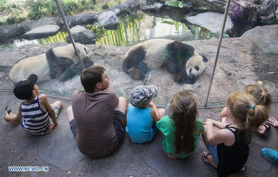 People visit Panda Passage at the Calgary Zoo in Calgary, Canada, on July 16, 2018. After moving to the Calgary Zoo from Toronto in March, giant panda cubs Jia Panpan, Jia Yueyue, their mother Er Shun and male adult giant panda Da Mao are expected to attract lots of visitors in the summer holiday. (Xinhua/Zou Zheng)