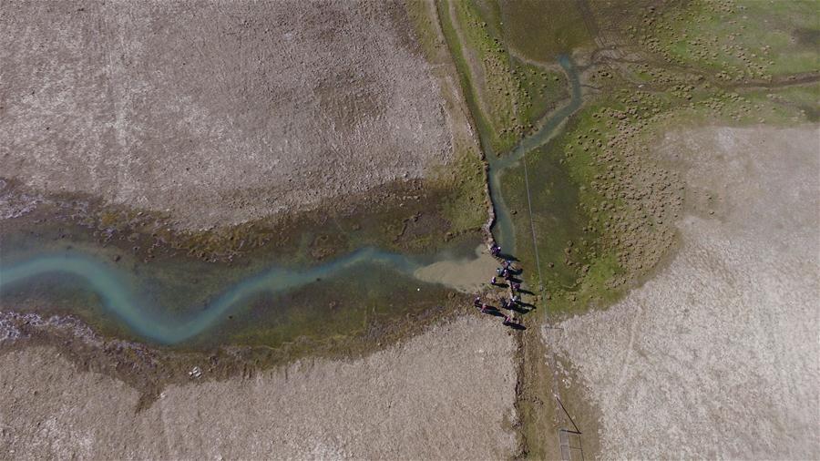 Photo taken on May 17, 2017 shows villagers diverting water to a wetland in Tingri County of Xigaze, southwest China\'s Tibet Autonomous Region. (Xinhua/Purbu Zhaxi)