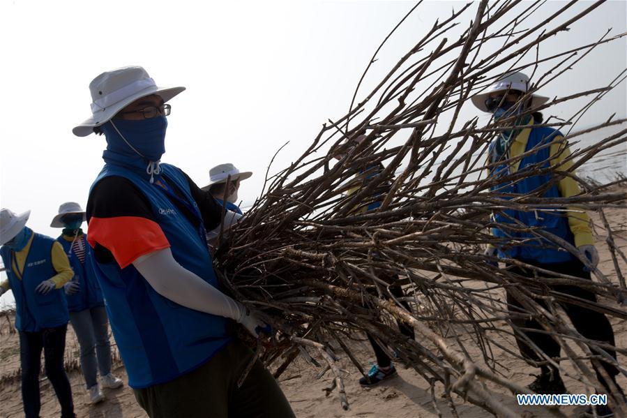 College volunteers join in a desert control activity in Xilingol, north China\'s Inner Mongolia Autonomous Region, July 19, 2018. (Xinhua/Meng Dingbo)