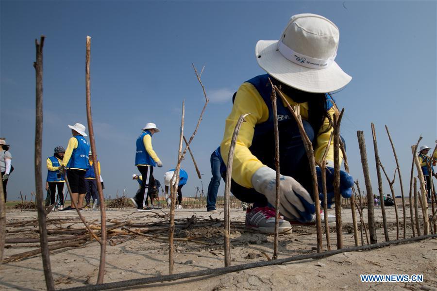 College volunteers join in a desert control activity in Xilingol, north China\'s Inner Mongolia Autonomous Region, July 19, 2018. (Xinhua/Meng Dingbo)