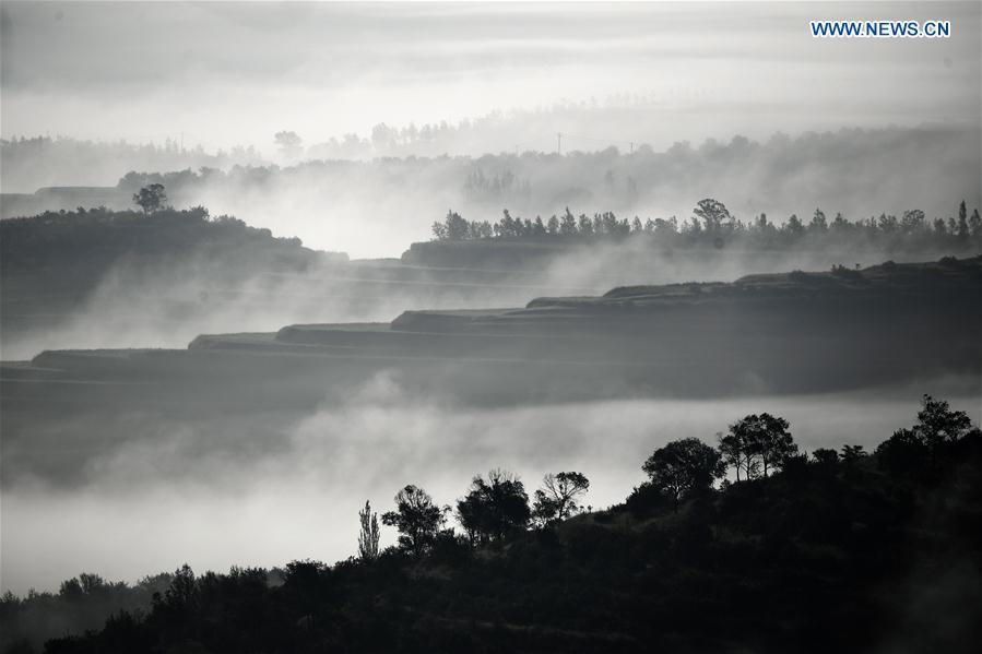 Photo taken on July 17, 2018 shows scenery of Jinjiping terrace park in Pengyuan County, northwest China\'s Ningxia Hui Autonomous Region. (Xinhua/Wang Peng)