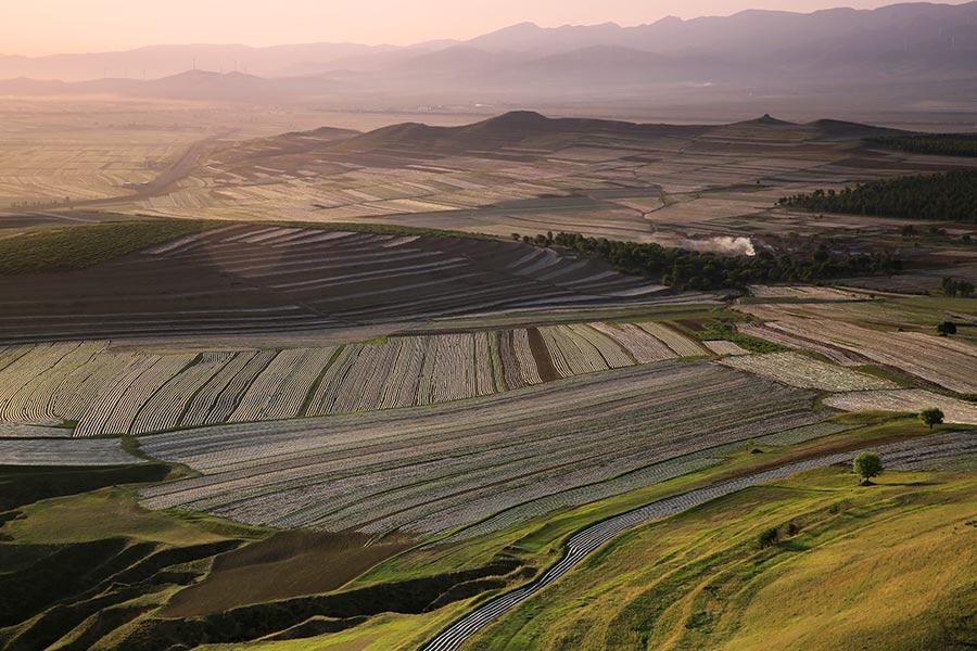 Protective film covers large areas of a cornfield in Wuzhai county, North China\'s Shanxi Province, creating an aerial view that looks like a free-form modern painting. The scene attracts summer tourists who enjoy nature\'s beauty. (Photo by Jiang Xinsheng/China Daily)