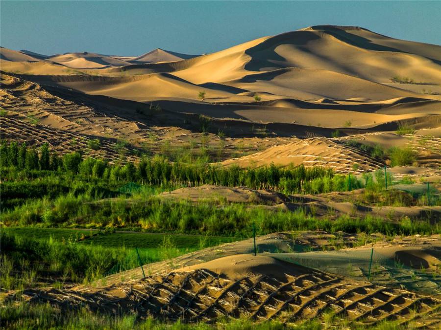 The use of degradable material by sand barrier technology is helping transform hundreds of acres of Inner Mongolia\'s Kubuqi Desert into green landscape in an environment-friendly way.  (Photo provided to chinadaily.com.cn)