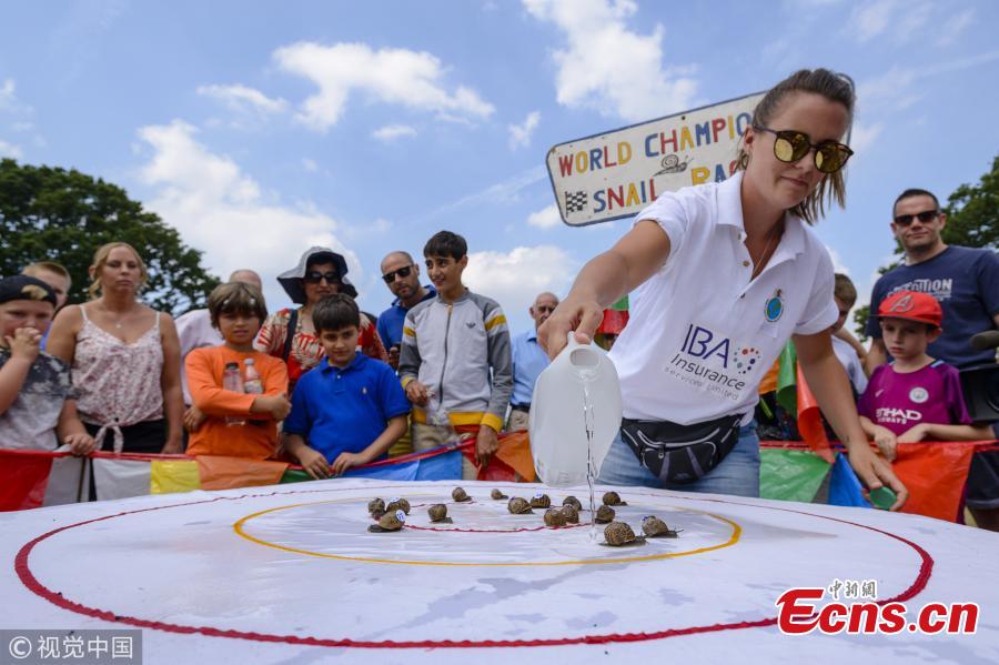 Snail Mistress Kirstie Smith waters the table as she oversees the races at the World Championship Snail Racing which was held at the Congham Village Fete on July 21, 2018 in King\'s Lynn, England. Over 100 snails have been taking part in the World Snail Racing Championships. Held in Congham near Kings Lynn, the championships which have been going for over 25 years form part of the village Fete to raise money for St Andrew\'s Church. (Photo/VCG)