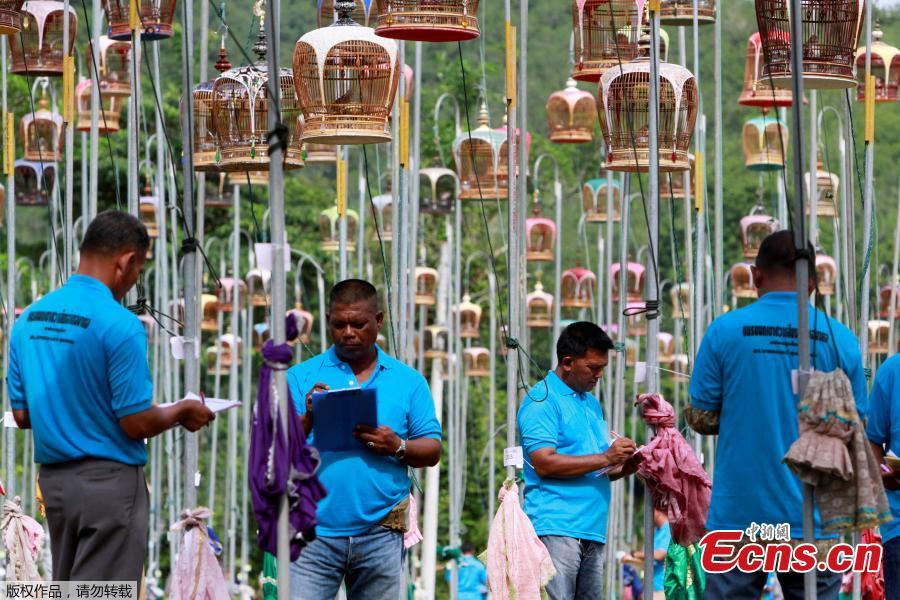 Thai Muslim judges judge during a bird-singing contest in the southern province of Pattani, Thailand, July 22, 2018. (Photo/Agencies)