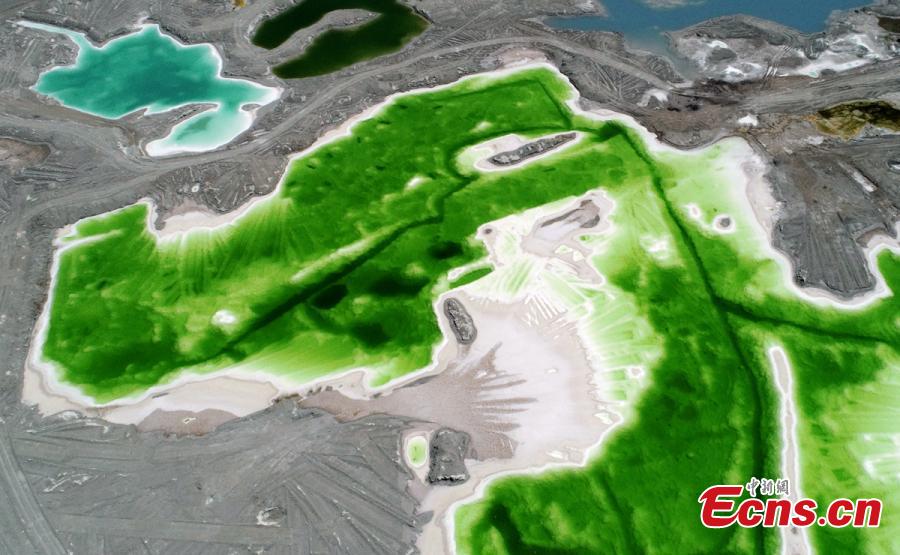 Da Qaidam salt lake in Haixi Mongol and Tibetan Autonomous Prefecture, Qinghai Province, July 25, 2018. The salt lake covering six square kilometers was formed by many years of mining, leaving a high concentration of salt called brine. It was named Emerald Lake because of its different and beautiful colors against the blue sky and snow-covered mountains. (Photo: China News Service/Liu Zhongjun)