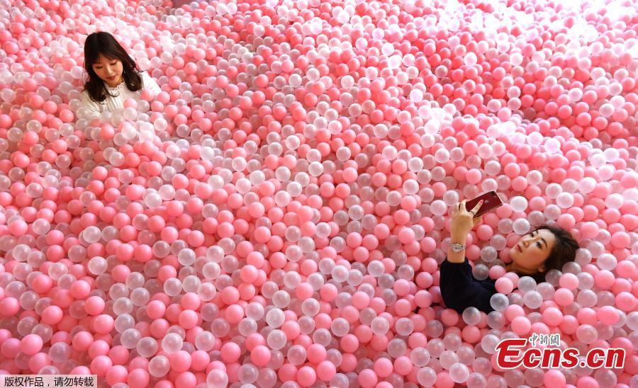A visitor to Sugar Republic takes a selfie as she reclines in a display of balls resembling lollies in Melbourne on July 24, 2018. Sugar Republic is an interactive pop-up museum dedicated to the celebration of desserts, candy and all things sweet through 12 amazing sensory rooms.(Photo/Agencies)