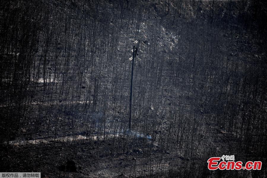 An electricity pole stands among burnt trees following a wildfire in Neos Voutzas, near Athens, Greece, July 25, 2018. (Photo/Agencies)