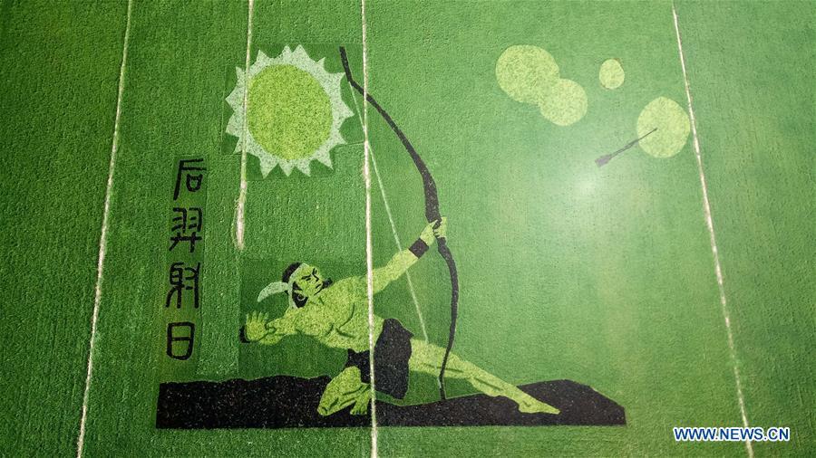 Photo taken on July 29, 2018 shows rice paddy art pictures in Shouxian County, east China\'s Anhui Province. (Xinhua/Zhang Duan)