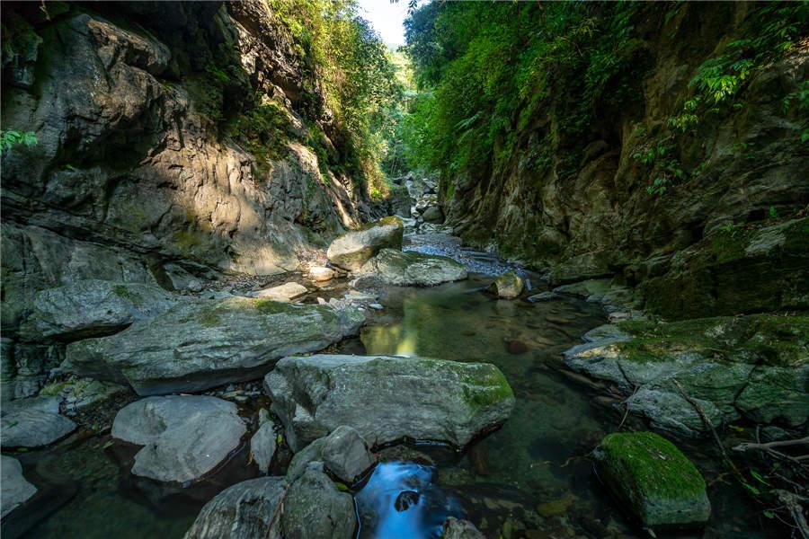A stream winds through rocks at Jinfo Mountain in Chongqing municipality.  (Photo provided to chinadaily.com.cn)

Jinfo Mountain, in Southwest China\'s Chongqing municipality, is a large scenic spot honored with seven titles: World Natural Heritage, National Famous Scenic Area, National Forest Park, National Nature Reserve, National Natural Heritage, First Batch of National Science Education Base and National 5A Level Scenic Area.

The scenic area has primitive natural landscape, rare stones, mysterious caves, adventurous cliffs, and historic temples.
