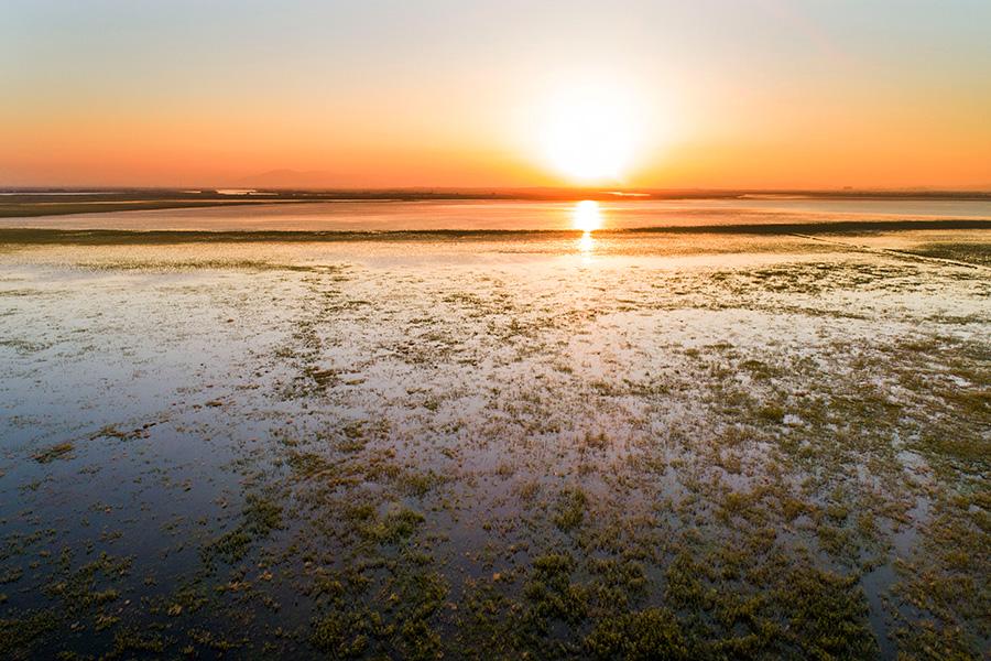 In the midsummer, the Poyang Lake wetland is surrounded by green grass and water. Poyang Lake wetland, China\'s largest freshwater lake, is one of the first seven wetlands to be listed on the list of internationally important wetlands. It is rich in flora and fauna and has unique natural landscapes. (Photo/China Daily)