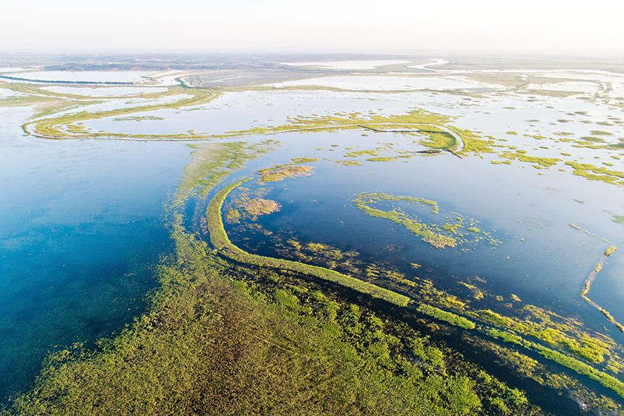 In the midsummer, the Poyang Lake wetland is surrounded by green grass and water. Poyang Lake wetland, China\'s largest freshwater lake, is one of the first seven wetlands to be listed on the list of internationally important wetlands. It is rich in flora and fauna and has unique natural landscapes. (Photo/China Daily)