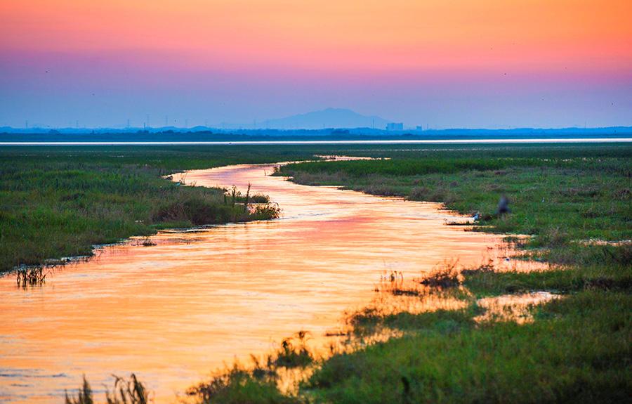 In the midsummer, the Poyang Lake wetland is surrounded by green grass and water. Poyang Lake wetland, China\'s largest freshwater lake, is one of the first seven wetlands to be listed on the list of internationally important wetlands. It is rich in flora and fauna and has unique natural landscapes. (Photo/China Daily)