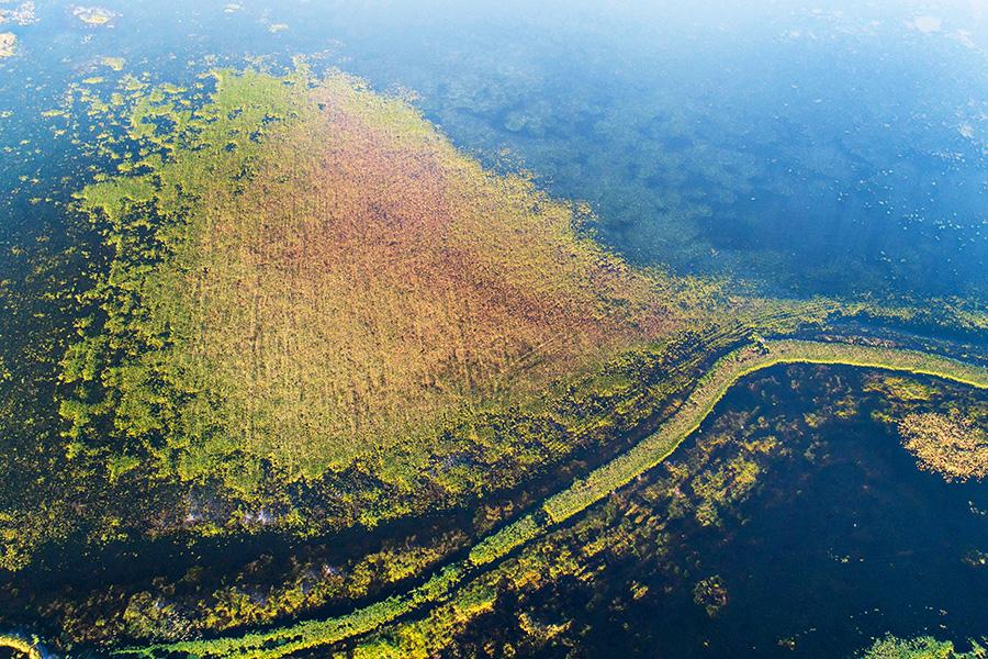 In the midsummer, the Poyang Lake wetland is surrounded by green grass and water. Poyang Lake wetland, China\'s largest freshwater lake, is one of the first seven wetlands to be listed on the list of internationally important wetlands. It is rich in flora and fauna and has unique natural landscapes. (Photo/China Daily)