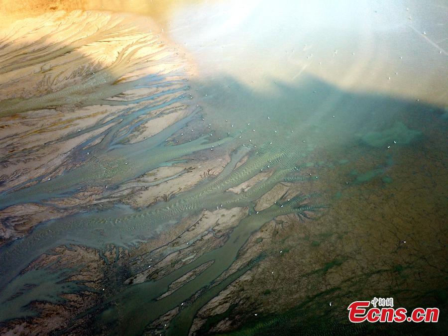 A view of the picturesque Yellow River riverbed near the Xiaolangdi Dam in Jiyuan, Henan Province, Aug. 1, 2018. Falling water and the sand segments in the riverbed form painting-like scenes.(Photo: China News Service/Wang Zhongju)