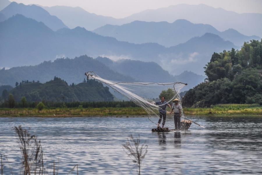 Fishermen cast nets on a bamboo raft on Qiandao Lake, Hangzhou city, Zhejiang Province, Aug. 2, 2018. After a three-month break, fishermen resume a new round of catches in the area, where rural tourism and recreational fishing are highlights of the local industry. (Photo/Xinhua)
