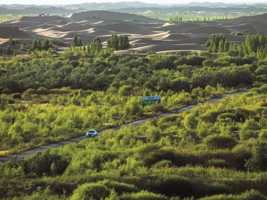 Construction of the first road to cross the desert took two years to complete. (Photo/China Daily)
With the help of Elion\'s technical experts, Gao developed a method of using high-pressure water jets to drill holes in the sand, reducing the planting time to about 10 seconds per tree from an average of 10 minutes and raising the survival rate to more than 80 percent. Now his land is lush with drought-resistant trees and bushes.
To provide multiple ways of making the desert green, fertile and profitable, farmers are also encouraged to grow licorice because it can withstand drought and the nighttime cold in the desert. Moreover, the roots help to keep the soil in place and make it fertile, enabling crops such as watermelons and tomatoes to be grown. After four years, the roots can be harvested and sold for large sums as an important ingredient of traditional Chinese medicines.
\