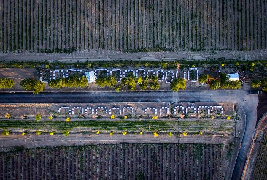 The couple\'s 650 beehives are scattered tidily along a road running through lavender fields. (Photo/Xinhua)

Persistence pays off in the end, and Zhou attributes his success to diligence. To guarantee the quality of his honey, he only harvests two or three times a month, while other apiarists do it every two or three days.

Bees and keepers feed each other, Zhou said, and this means he must show his bees respect. This respect was put to the test in the 1990s, when the price of honey plummeted and many beekeepers quit and took other jobs. But Zhou could not bring himself to sell his \