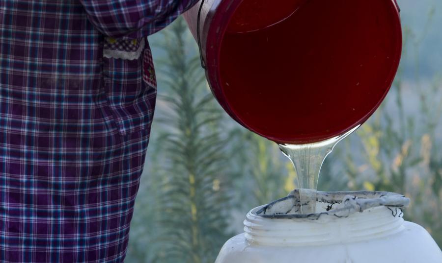 Zhou Heying pours fresh lavender honey into a bigger container. (Photo/Xinhua)

Zhou has been keeping bees for over 30 years. He started out with just 15 beehives and now has 650.

In the old days, when the lavender season finished he would move his colony into the mountains with a donkey and cart. Today he uses a truck to transport his 30 million workers.

Much has changed for Zhou in the three decades that he has kept bees, but one thing remains constant－h(huán)is passion to spread the fragrance and sweetness of Ili across China, and beyond.