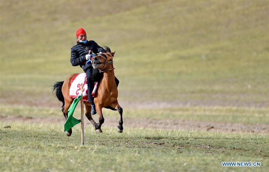 A herdsman performs horse riding at Rima Village in Gerze County of Ali, southwest China\'s Tibet Autonomous Region, Aug. 6, 2018. Herdsmen ride and race horses to celebrate after harvesting cashmere. (Xinhua/Zhang Rufeng)