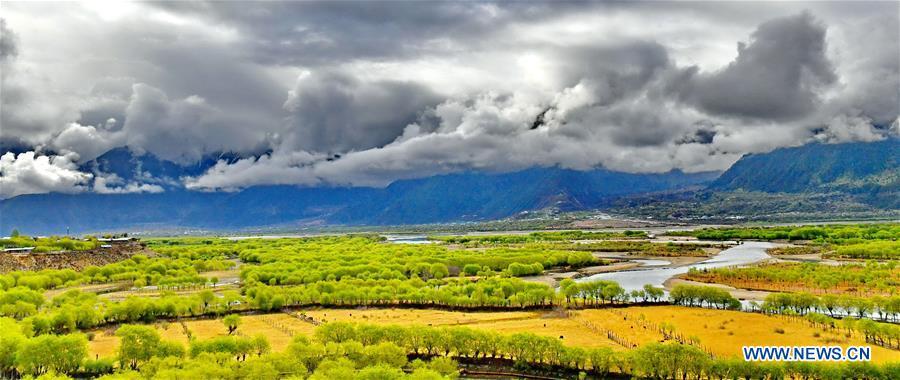 Photo taken on April 27, 2018 shows the scenery of Yani national wetland park in Nyingchi, southwest China\'s Tibet Autonomous Region. (Xinhua/Zhang Rufeng)