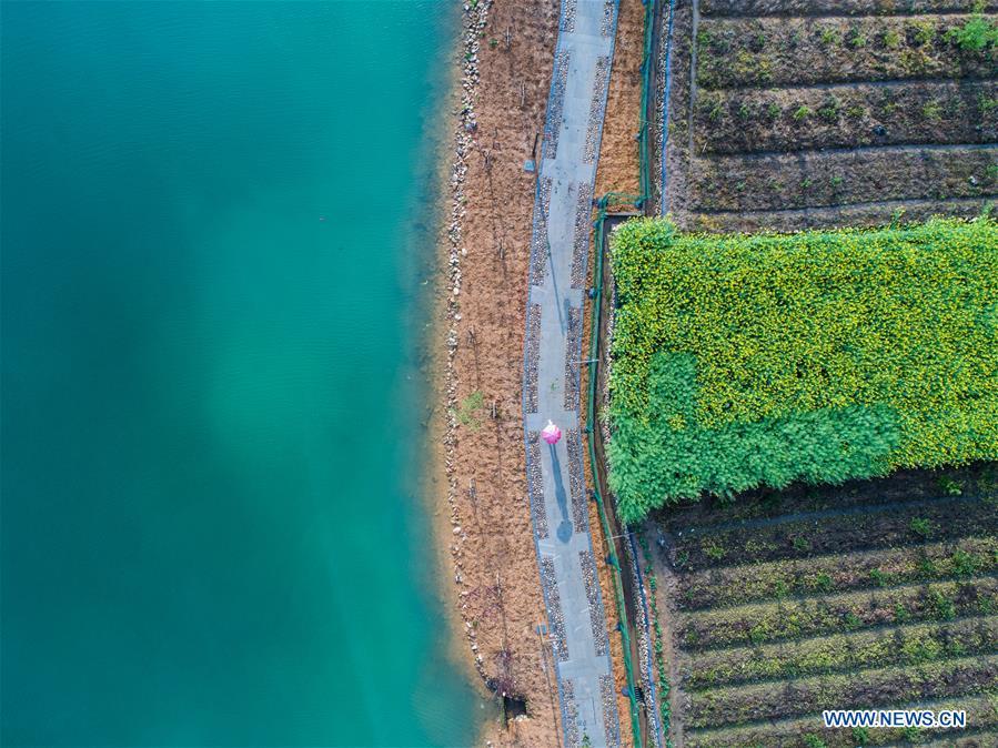 Aerial photo taken on April 3, 2018 shows the view of a wetland park in Fenkou Town of Chun\'an County in Hangzhou, east China\'s Zhejiang Province. The wetland park which covers an area of over 33 hectares is the highlight project of environmental improvement in Fenkou Town. (Xinhua/Xu Yu)