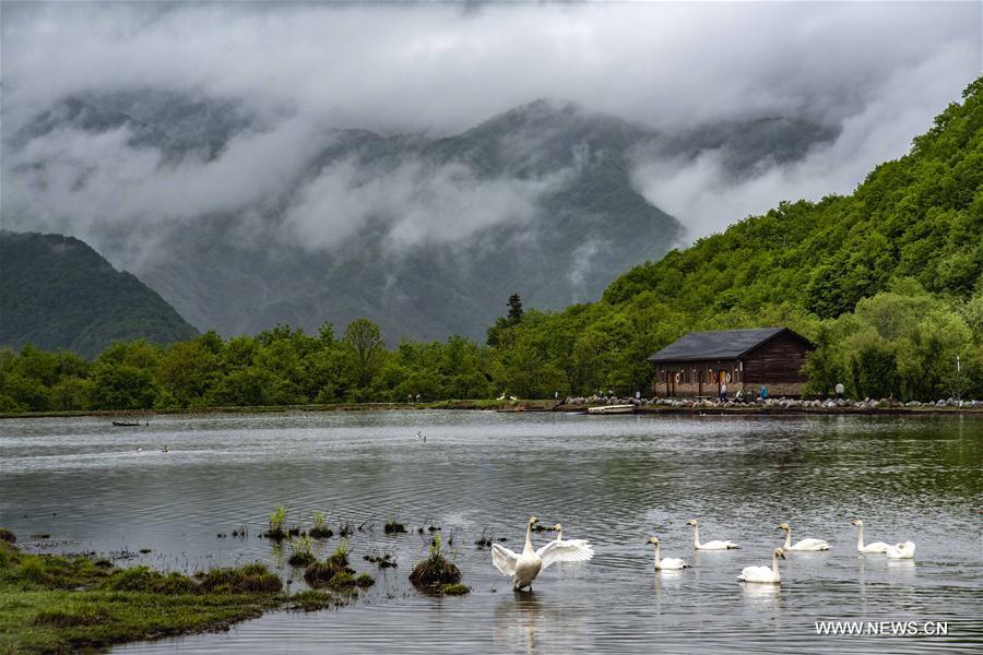 Photo taken on May 18, 2018 shows the scenery of Dajiuhu wetland in Shennongjia, central China\'s Hubei Province. (Xinhua/Du Huaju)