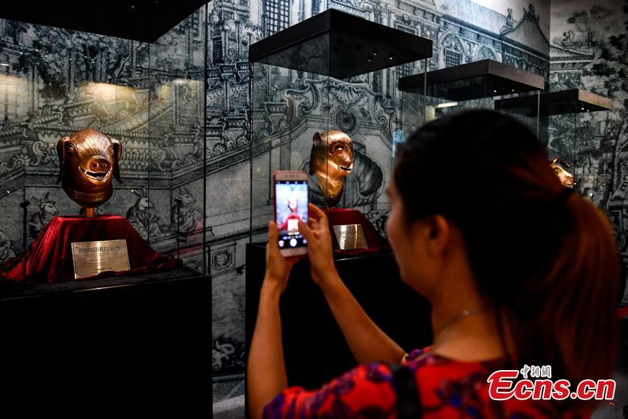 A visitor takes photos at an exhibition displaying four original relics looted from Beijing\'s Old Summer Palace in 1860s underway in Zhaoqing City, Guangdong Province, Aug. 8, 2018. The four works are animal heads symbolizing the 12 animal signs of the Chinese zodiac, including pig, ox, monkey and tiger, which were originally water outlets, part of the fountain in the Old Summer Palace. Poly became a household name by acquiring the four animal heads from foreign auction houses, the centerpiece in Poly Art Museum in Beijing. (Photo: China News Service/Zhao Jimin)
