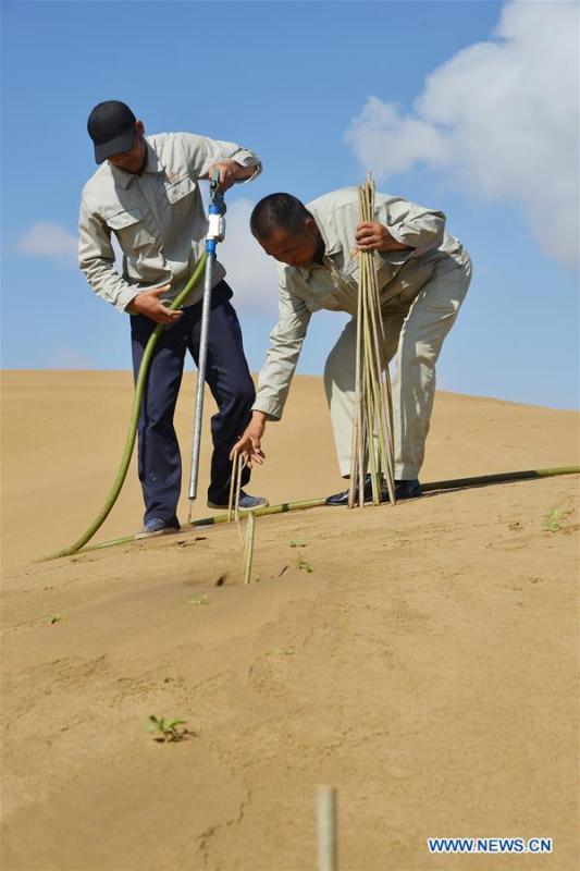 Staff members plant trees in sandy soil at the Kubuqi Desert in Jinghang Banner, north China\'s Inner Mongolia Autonomous Region, July 24, 2018. Kubuqi, the seventh largest desert in China, is a good example of China\'s success in alleviating desertification. About 6,460 square kilometers of the Kubuqi desert has been reclaimed in the last 30 years. (Xinhua/Zou Yu)
