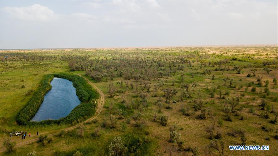 Aerial photo taken on July 11, 2018 shows the view of eco-environment restoration at the Kubuqi Desert in Hangjin Banner, north China\'s Inner Mongolia Autonomous Region. Kubuqi, the seventh largest desert in China, is a good example of China\'s success in alleviating desertification. About 6,460 square kilometers of the Kubuqi desert has been reclaimed in the last 30 years. (Xinhua/Peng Yuan)