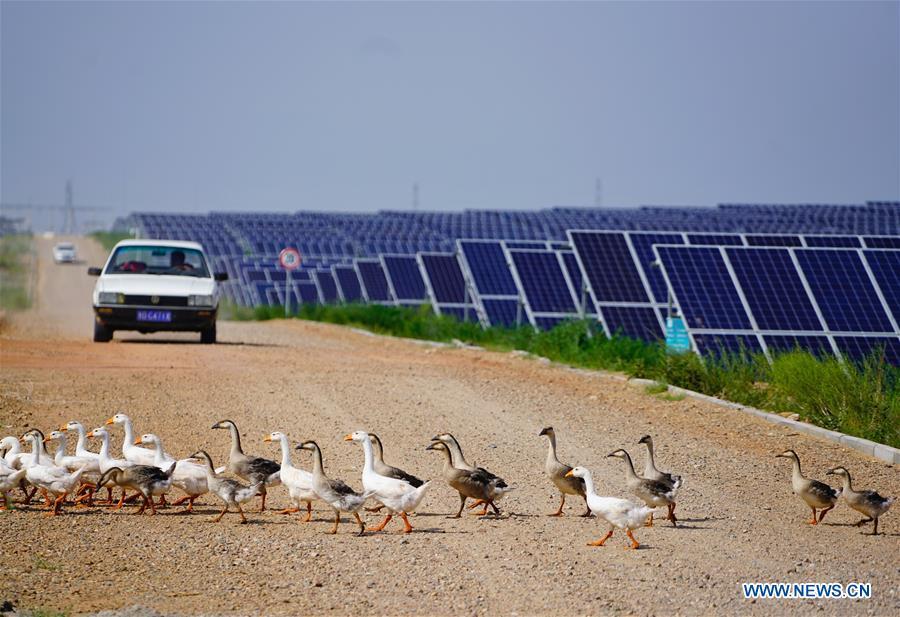 Photo taken on Aug. 1, 2018 shows the solar power farm built at the Kubuqi Desert in north China\'s Inner Mongolia Autonomous Region. Kubuqi, the seventh largest desert in China, is a good example of China\'s success in alleviating desertification. About 6,460 square kilometers of the Kubuqi desert has been reclaimed in the last 30 years. (Xinhua/Xing Guangli)