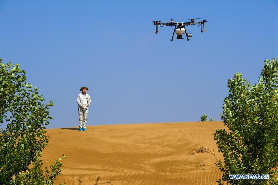 A technician controls a drone to sow seeds at the Kubuqi Desert, north China\'s Inner Mongolia Autonomous Region, July 11, 2018. Kubuqi, the seventh largest desert in China, is a good example of China\'s success in alleviating desertification. About 6,460 square kilometers of the Kubuqi desert has been reclaimed in the last 30 years. (Xinhua/Peng Yuan)
