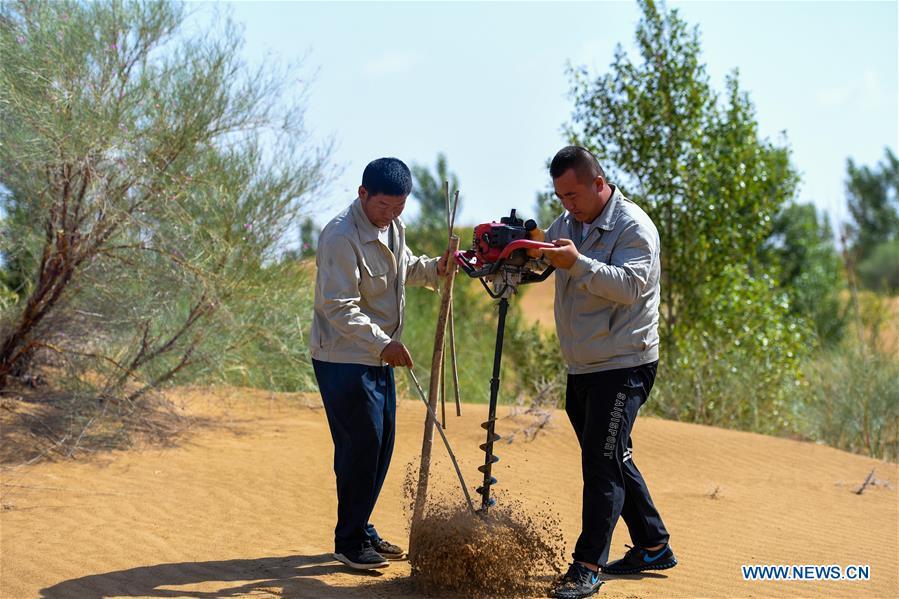 Staff members bore a hole for planting in sandy soil at the Kubuqi Desert in Erdos, north China\'s Inner Mongolia Autonomous Region, July 11, 2018. Kubuqi, the seventh largest desert in China, is a good example of China\'s success in alleviating desertification. About 6,460 square kilometers of the Kubuqi desert has been reclaimed in the last 30 years. (Xinhua/Peng Yuan)
