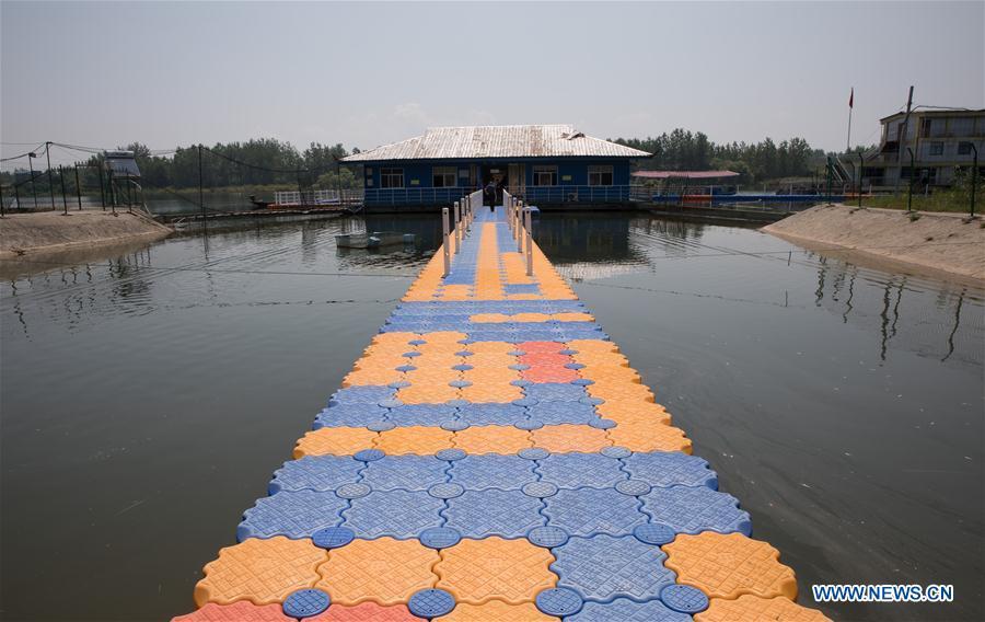 Photo taken on Aug. 7, 2018 shows Xijiang care center of the finless porpoise nature reserve along the Yangtze River in Anqing City, east China\'s Anhui Province. The finless porpoise nature reserve, consisting of three core zones, six buffer zones and several experimental zones, has provided a safe habitat for some 200 finless porpoises, since being set up in 2017. (Xinhua/Jin Liwang)
