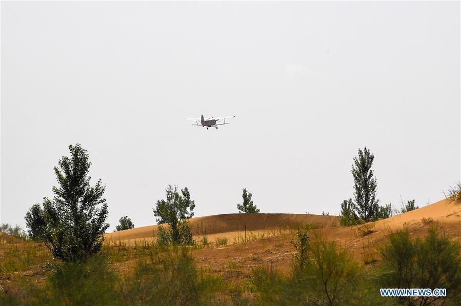 A plane flies in the air to sow seeds at the Kubuqi Desert in Erdos, north China\'s Inner Mongolia Autonomous Region, July 11, 2018. Kubuqi, the seventh largest desert in China, is a good example of China\'s success in alleviating desertification. About 6,460 square kilometers of the Kubuqi desert has been reclaimed in the last 30 years. (Xinhua/Peng Yuan)