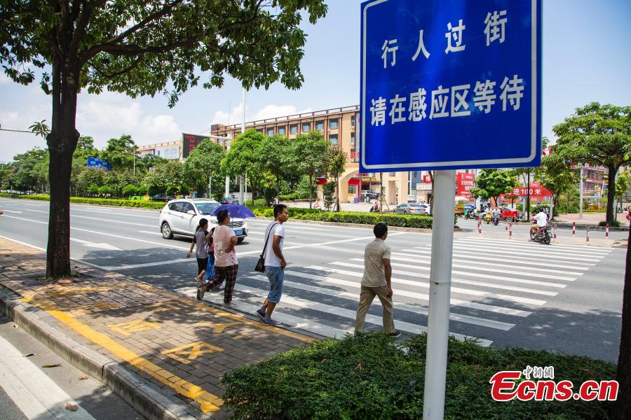 A smart zebra crossing is put into use in Nanning City, South China’s Guangxi Zhuang Autonomous Region, Aug. 8, 2018. When at least three pedestrians wait near the first smart zebra cross in Guangxi, the duration of green light signal for vehicles will automatically reduces from 120 seconds to 65 seconds, giving priority to pedestrians. (Photo: China News Service/Chen Guanyan)