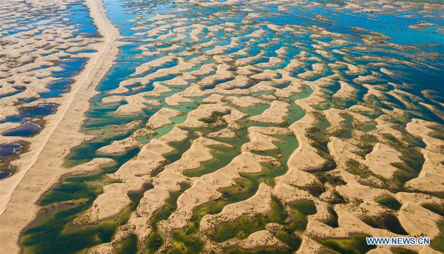 Aerial photo taken on June 9, 2018 shows wetlands formed by water of the Yellow River in flood period at the Kubuqi Desert in Hangjin Banner, north China\'s Inner Mongolia Autonomous Region. Kubuqi, the seventh largest desert in China, is a good example of China\'s success in alleviating desertification. About 6,460 square kilometers of the Kubuqi desert has been reclaimed in the last 30 years. (Xinhua/Peng Yuan)