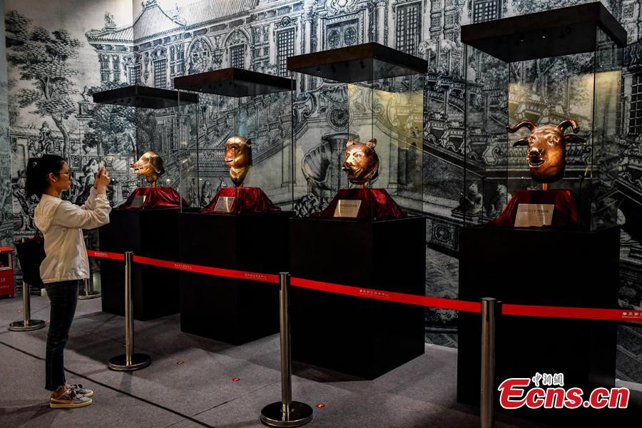 A visitor takes photos at an exhibition displaying four original relics looted from Beijing\'s Old Summer Palace in 1860s underway in Zhaoqing City, Guangdong Province, Aug. 8, 2018. The four works are animal heads symbolizing the 12 animal signs of the Chinese zodiac, including pig, ox, monkey and tiger, which were originally water outlets, part of the fountain in the Old Summer Palace. Poly became a household name by acquiring the four animal heads from foreign auction houses, the centerpiece in Poly Art Museum in Beijing. (Photo: China News Service/Zhao Jimin)