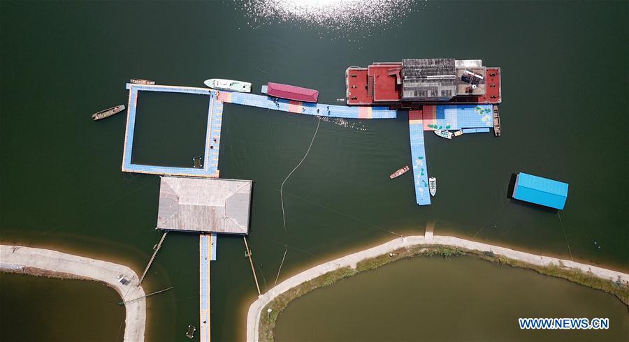 Aerial photo taken on Aug. 7, 2018 shows Xijiang off-site conservation center of the finless porpoise nature reserve along the Yangtze River in Anqing City, east China\'s Anhui Province. The finless porpoise nature reserve, consisting of three core zones, six buffer zones and several experimental zones, has provided a safe habitat for some 200 finless porpoises, since being set up in 2017. (Xinhua/Jin Liwang)