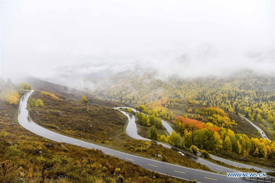 Photo taken on Sept. 23, 2017 shows a car on its way to the Hemu scenic area of Kanas in northwest China\'s Xinjiang Uygur Autonomous Region. As an important link of the Silk Road Economic Belt, Xinjiang is speeding up the development of transportation and logistics to connect east and west. By the end of 2017, the total length of roads in Xinjiang reached 186,000 km, with 4,578 km of expressways. (Xinhua/Zhao Ge)