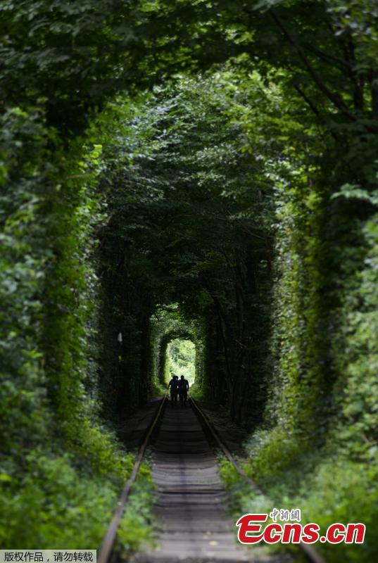 People walk along former railway tracks surrounded by arches of intertwined trees in the so-called \'Tunnel of Love\', near the Ukrainian village of Klevan, Rivno region, Aug. 6, 2018. The tunnel of about five kilometers in length is a botanical phenomenon, which became a cult place for tourists and couples in love. The tourist legend says that wishes of couples in love will come true, if the couple passes through the tunnel. (Photo/Agencies)