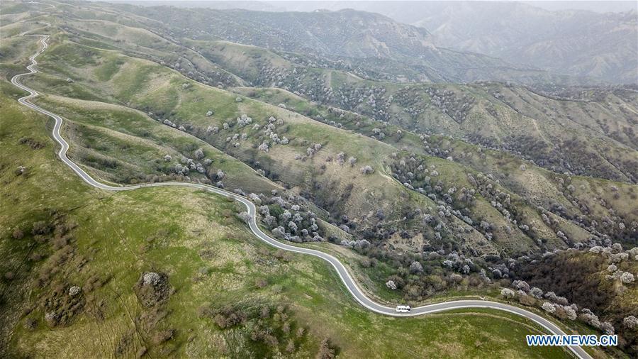 Aerial photo taken on April 14, 2018 shows a bus running on a road in Huocheng County, northwest China\'s Xinjiang Uygur Autonomous Region. As an important link of the Silk Road Economic Belt, Xinjiang is speeding up the development of transportation and logistics to connect east and west. By the end of 2017, the total length of roads in Xinjiang reached 186,000 km, with 4,578 km of expressways. (Xinhua/Hu Huhu)