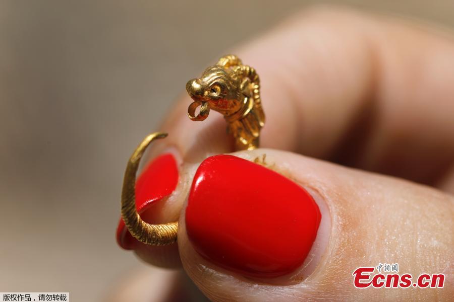 An Israeli archeologist shows a rare golden earring believed to be more than 2,000 years-old, discovered at the archeological site of the City of David in East Jerusalem near the walls of the old city on 8 August 2018. A Hellenistic-era golden earring, featuring ornamentation of an horned animal, was discovered in the Givati Parking Lot in the City of David National Park encircling the Old City walls. The discovery was made during archeological digs carried out by the Antiquities Authority and Tel Aviv University. The spectacular gold earring, shaped like a horned animal, dates back to the second or third century BCE, during the Hellenistic period. (Photo/Agencies)