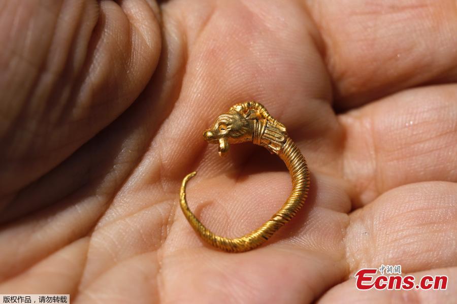An Israeli archeologist shows a rare golden earring believed to be more than 2,000 years-old, discovered at the archeological site of the City of David in East Jerusalem near the walls of the old city on 8 August 2018. A Hellenistic-era golden earring, featuring ornamentation of an horned animal, was discovered in the Givati Parking Lot in the City of David National Park encircling the Old City walls. The discovery was made during archeological digs carried out by the Antiquities Authority and Tel Aviv University. The spectacular gold earring, shaped like a horned animal, dates back to the second or third century BCE, during the Hellenistic period. (Photo/Agencies)