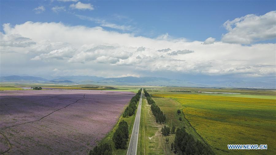 Aerial photo taken on Aug. 2, 2018 shows a road in Zhaosu County, northwest China\'s Xinjiang Uygur Autonomous Region. As an important link of the Silk Road Economic Belt, Xinjiang is speeding up the development of transportation and logistics to connect east and west. By the end of 2017, the total length of roads in Xinjiang reached 186,000 km, with 4,578 km of expressways. (Xinhua/Hu Huhu)